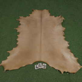 Perkament van rendier ( 1.03  m²)