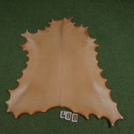 Reindeer rawhide (0.99 m²)