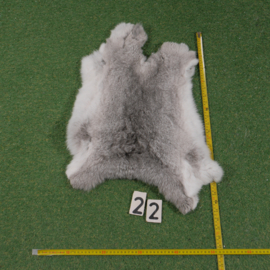 Grey-white rabbit skin