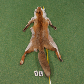 Red fox fur (125 cm) open