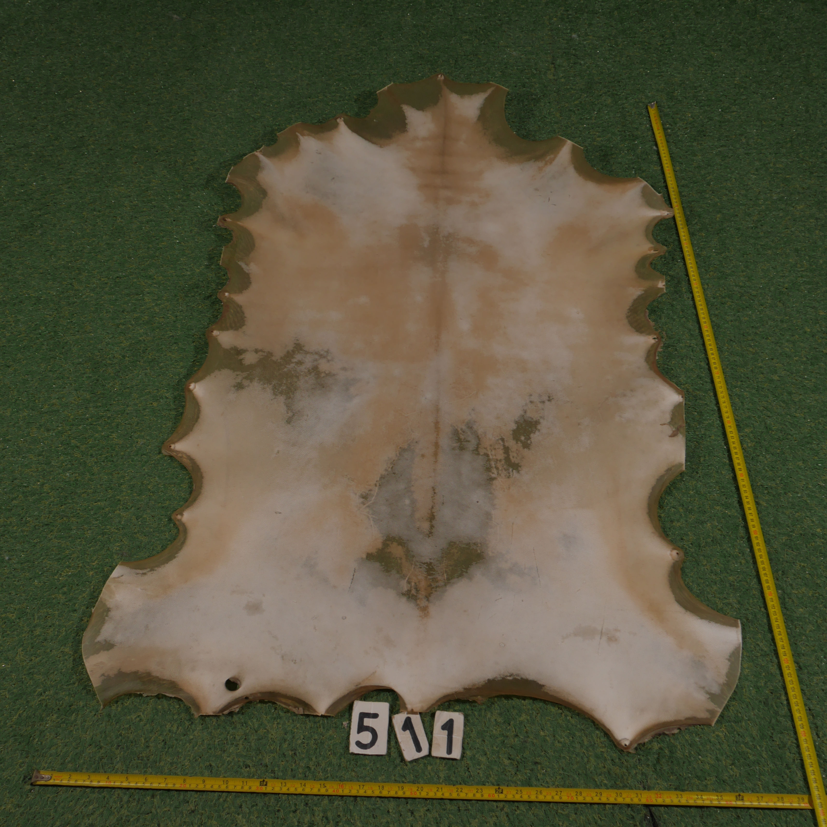Perkament van geit (1.00 m²)