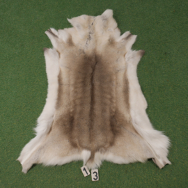 Reindeer skin (125 x 100)