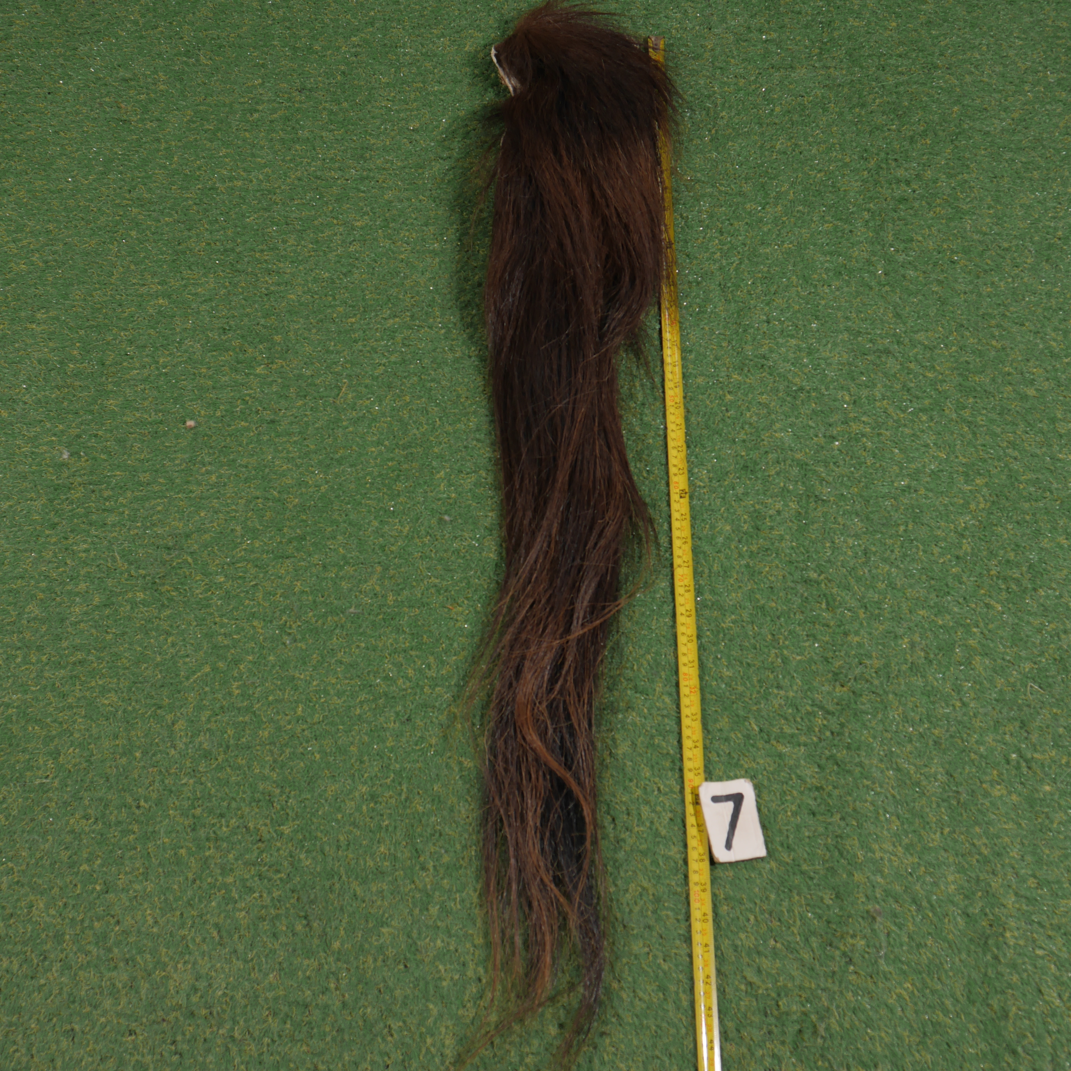 Paardenstaart (110 cm)