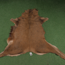 Red deer skin (165 x 165)