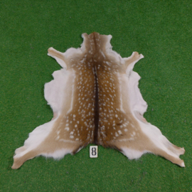 Fallow deer skin (100 x 100) summer coat