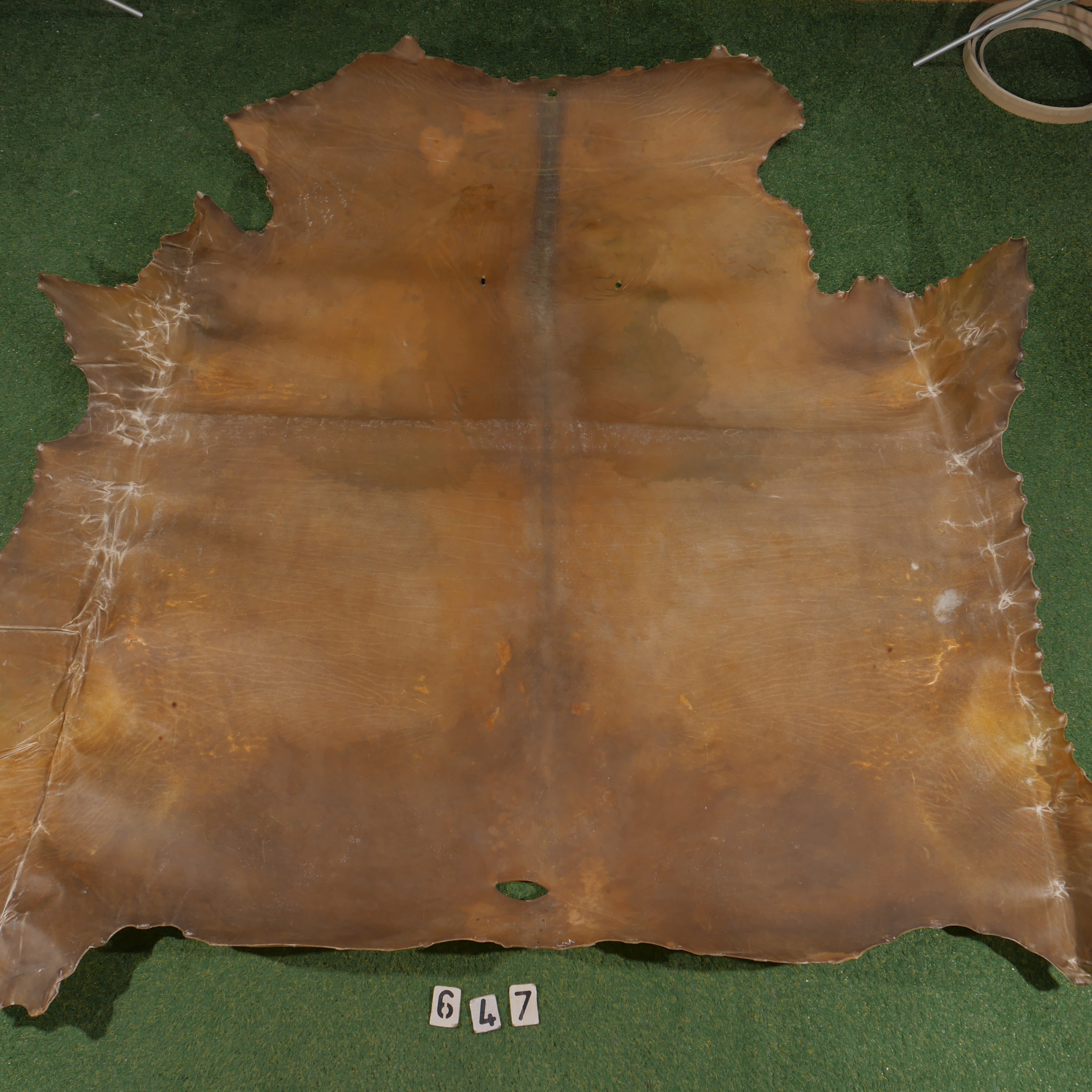Bison parchment (4.31m²)