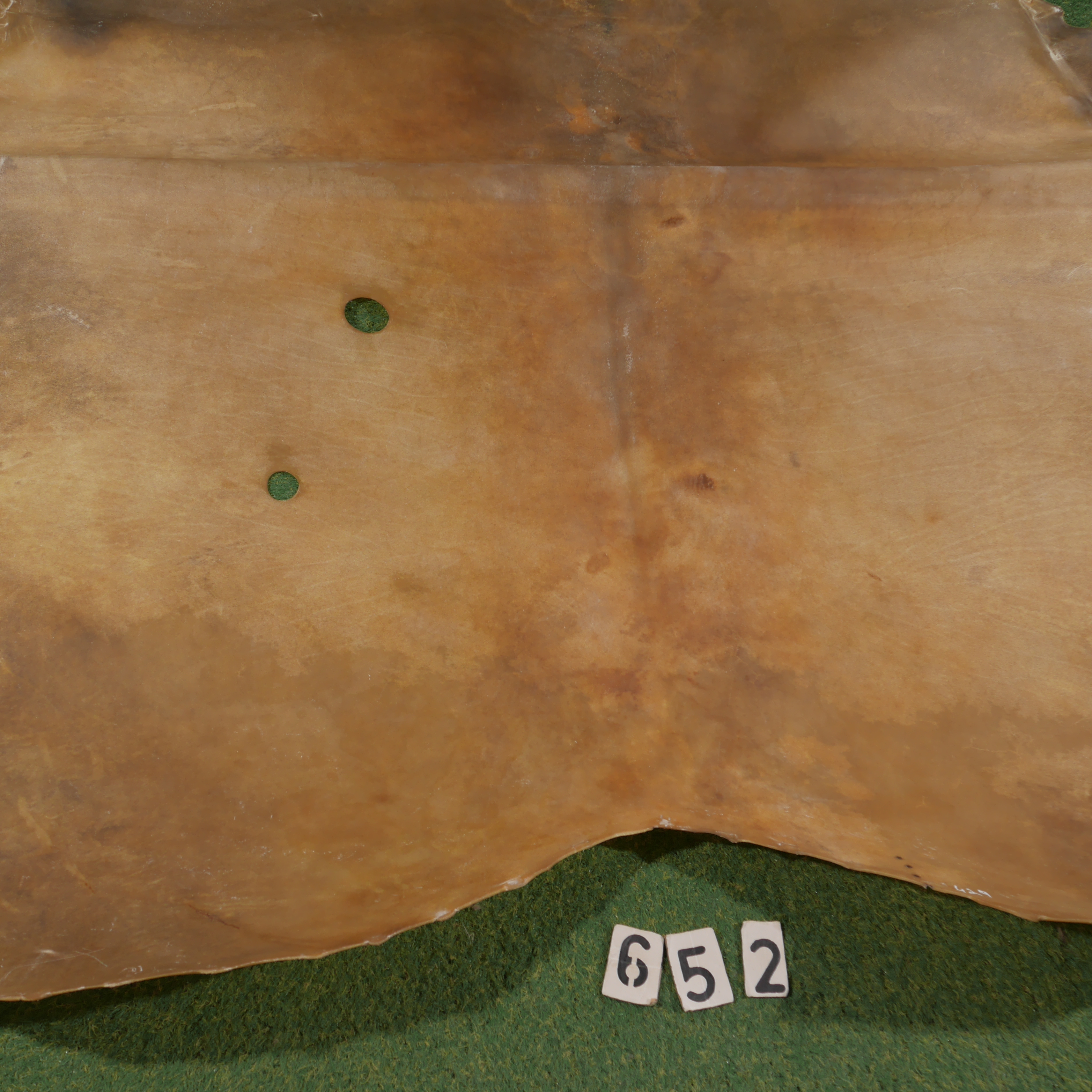 Bison parchment (4.29m²)