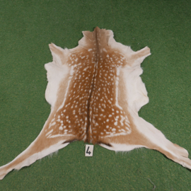 Fallow deer skin (100 x 110) summer coat