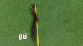 Bison tail (50 cm)