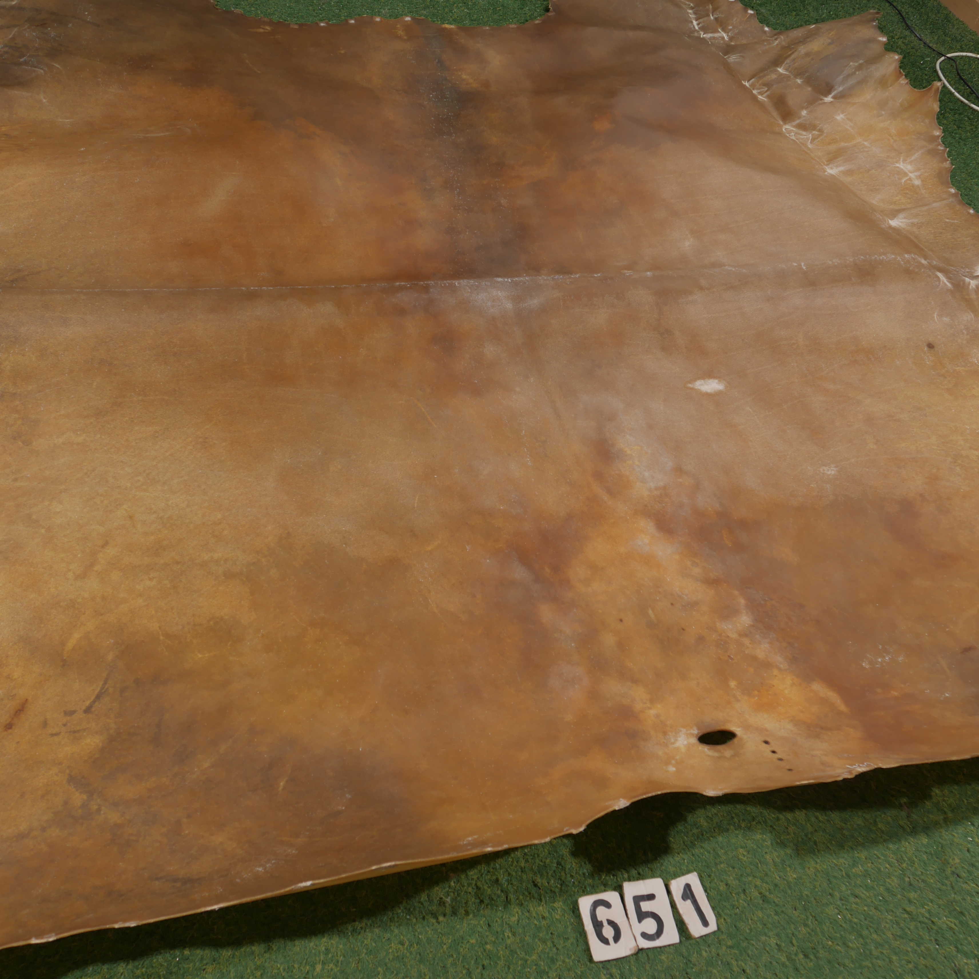 Bison parchment (4.30m²)