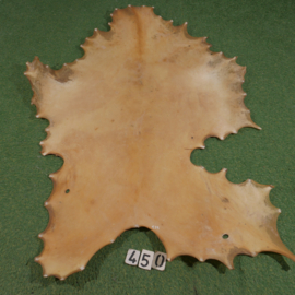 Red deer parchment (1.28 m²)