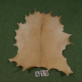 Perkament van damhert (0.58 m²)