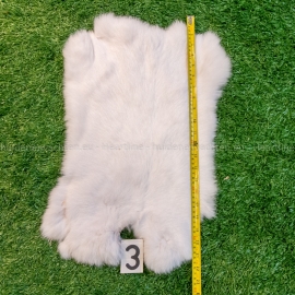 White rabbit skins (40-45 cm)