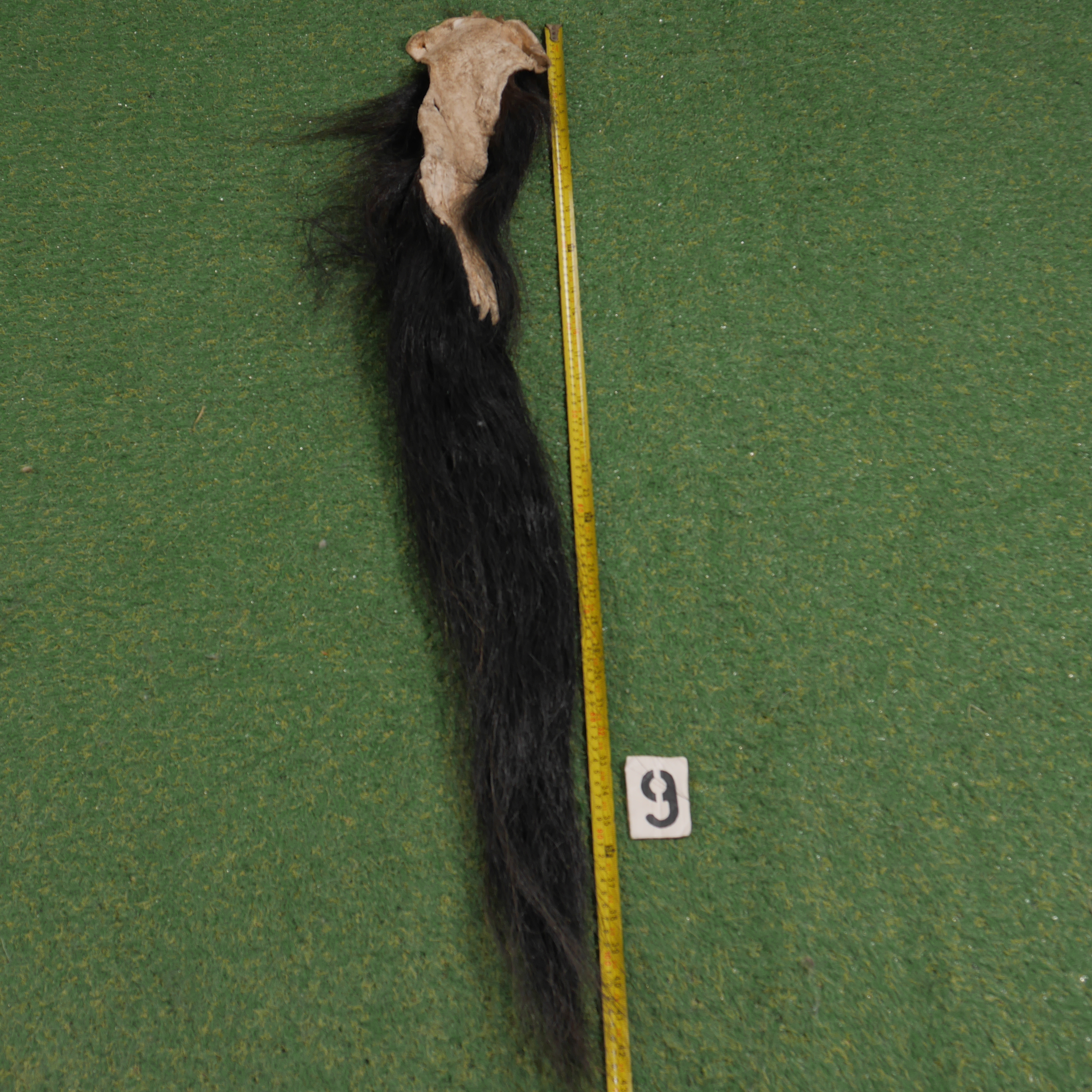 Paardenstaart (110 cm)