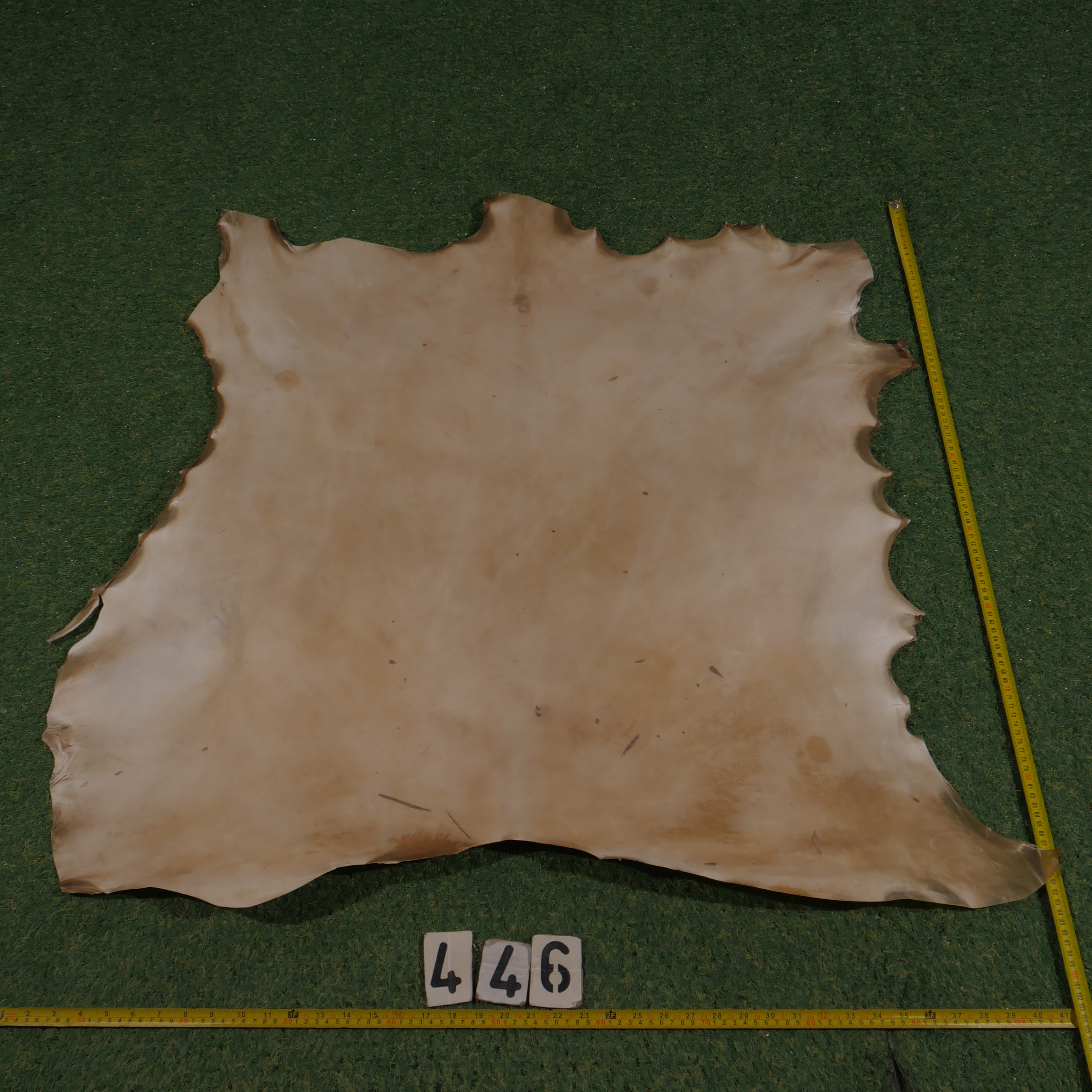 Perkament van edelhert ( 0.90 m²)
