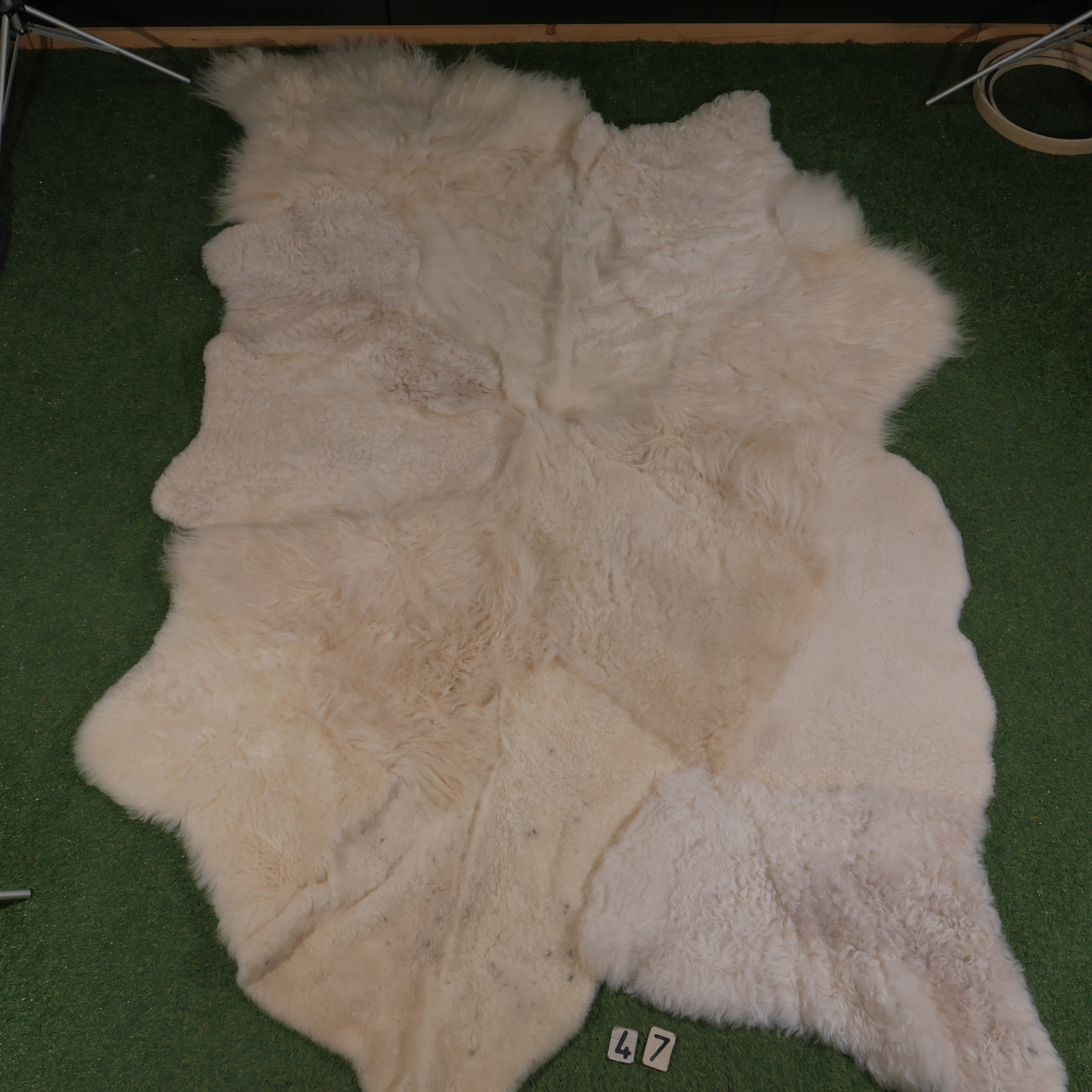Wit 'multi-layered' schapenkleed (300 x 190)
