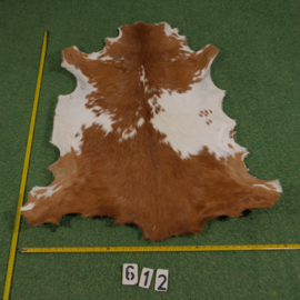 Goat parchment ( ±1.10 m²) with hair