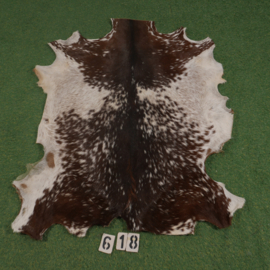 Goat rawhide (1.10 m²) with hair