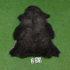 Buin/zwart heideschaap met ruige wol (110 x 70)