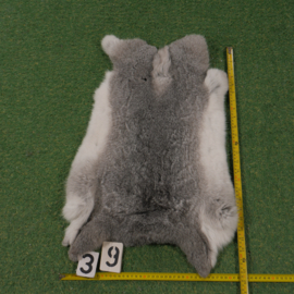 Grey-white rabbit skin