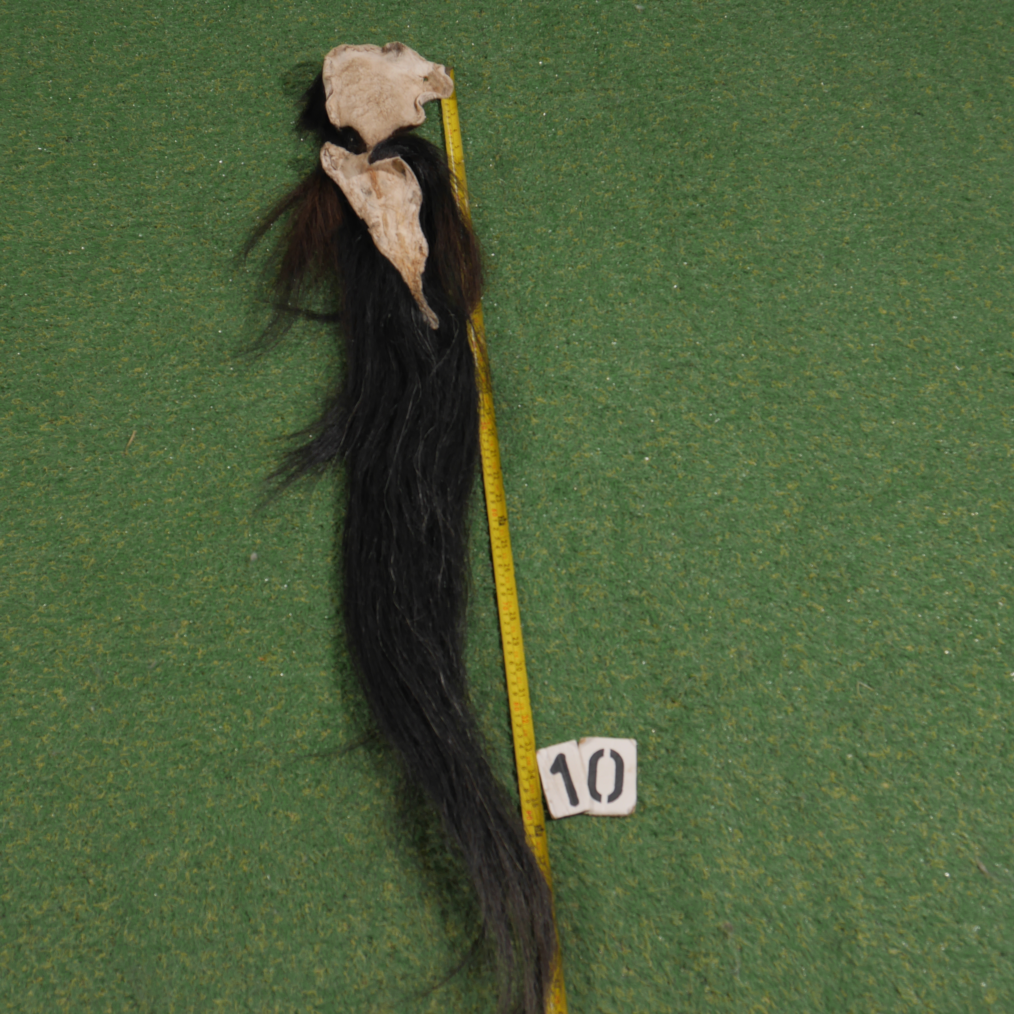 Paardenstaart (110 cm)