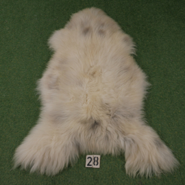 White sheepskin (120 x 85)