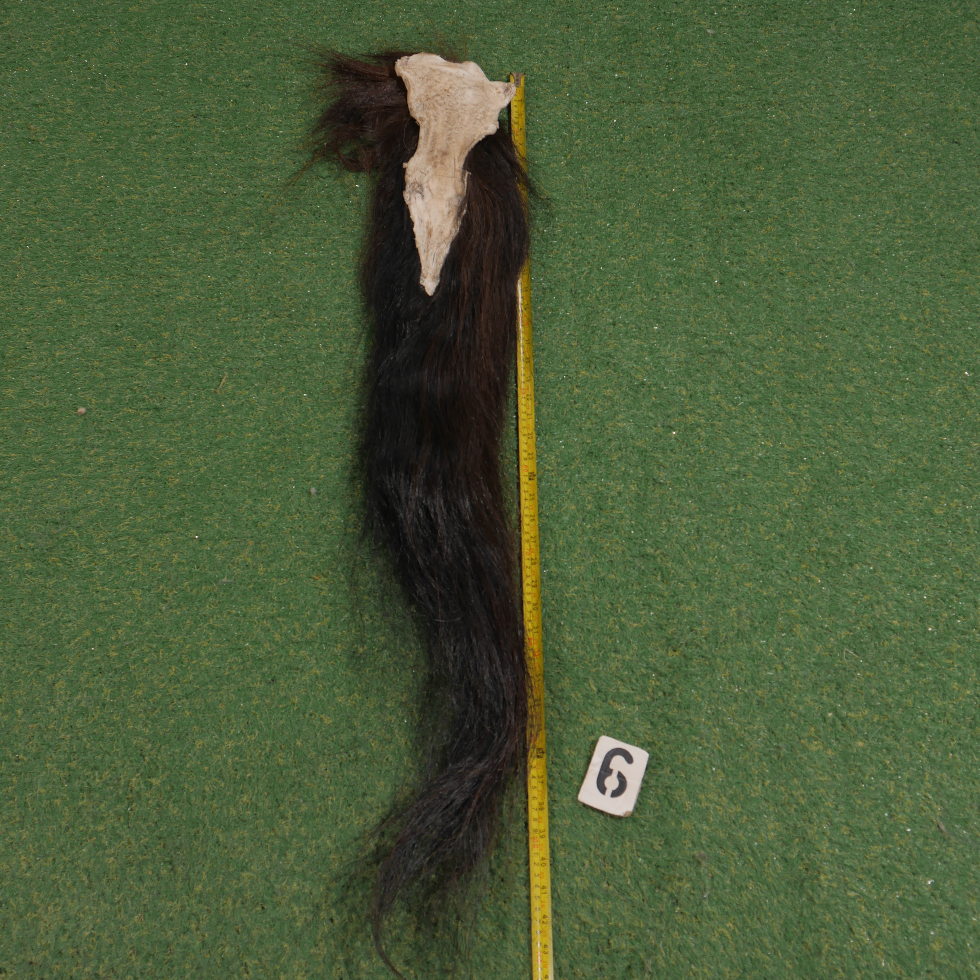 Paardenstaart (110 cm)