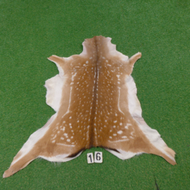 Fallow deer skin (110 x 110) summer coat