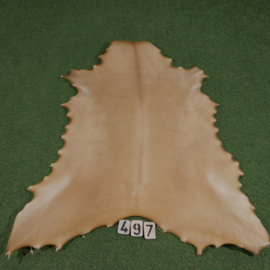 Perkament van rendier ( 1.02  m²)