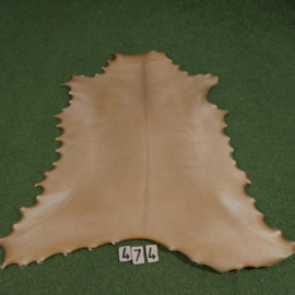 Perkament van rendier ( 1.17  m²)