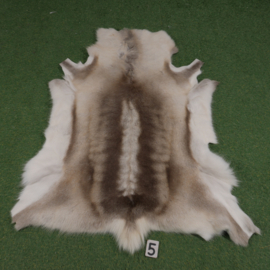 Rendierhuid (125 x 100)