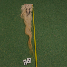 Paardenstaart (115 cm)