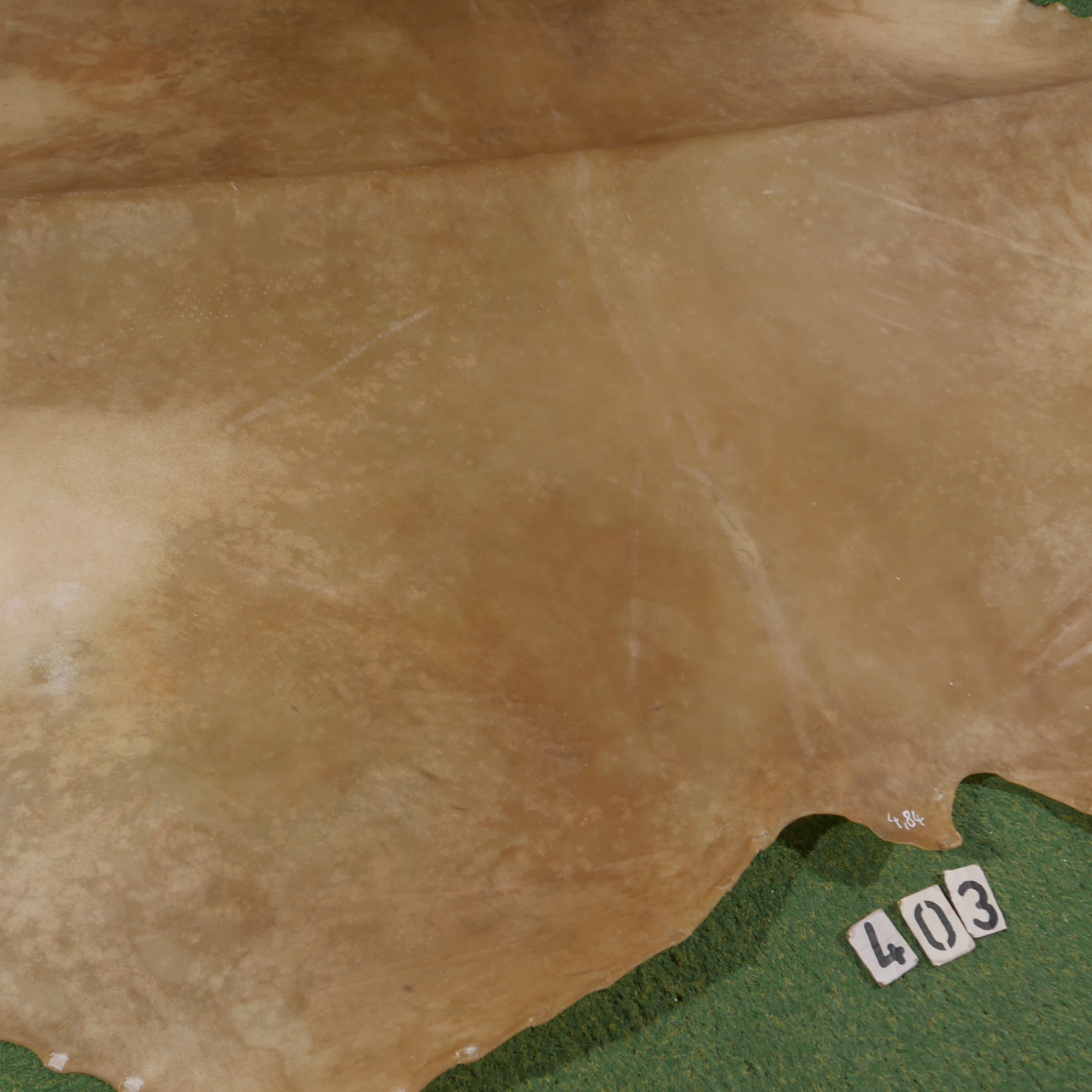 Scottish Highlander parchment (4.84 m²)