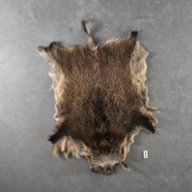 Wildzwijnhuid (115 x 90) incl staart 1.35