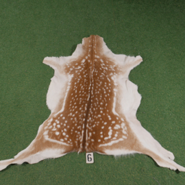 Fallow deer skin (110 x 110) summer coat