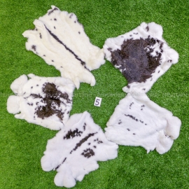 Spotted rabbit skin (40-45 cm)