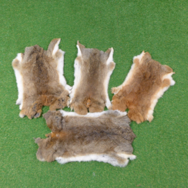 Wildkleur XXL konijnenvachten (50-60 cm)