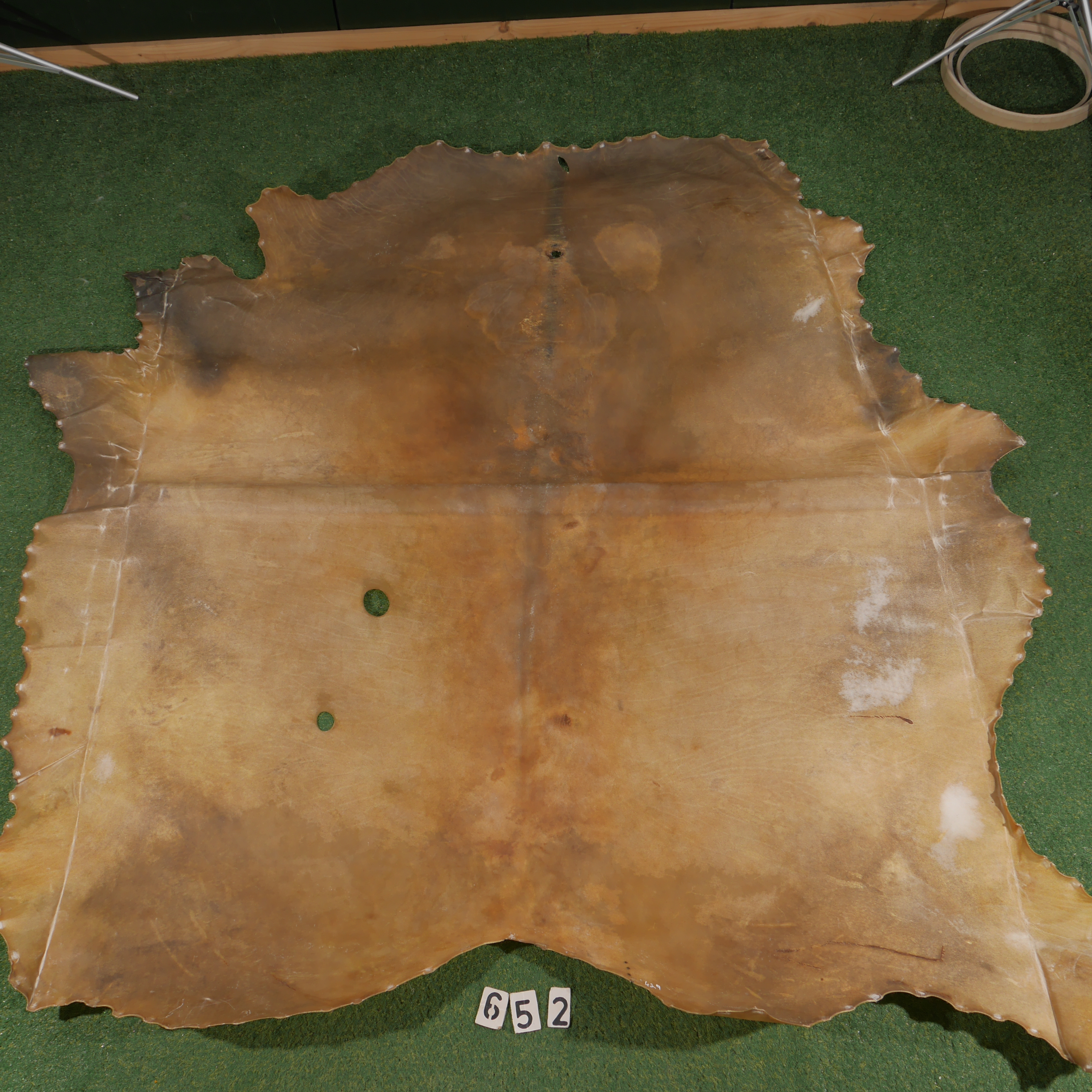Bison parchment (4.29m²)