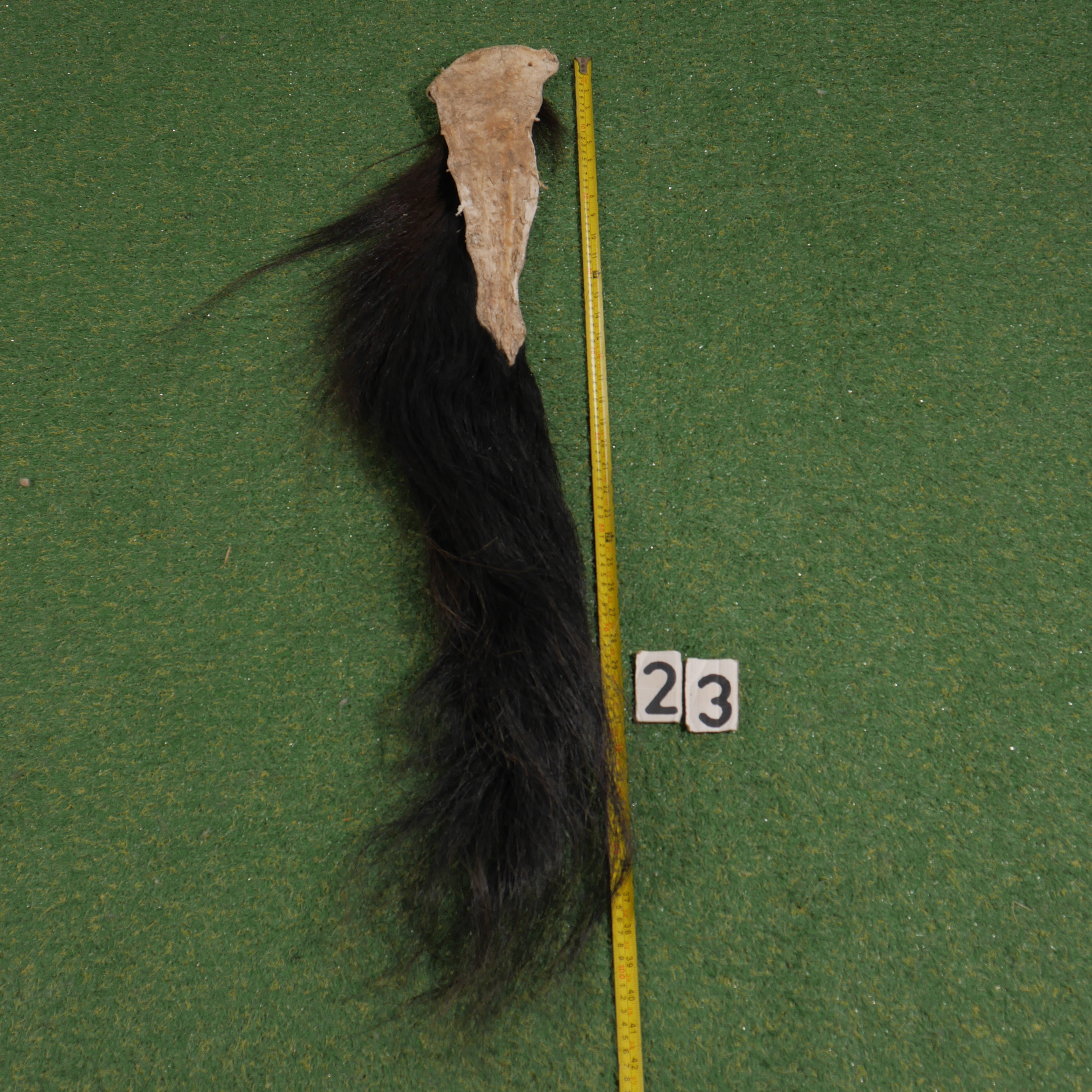 Paardenstaart (100 cm)