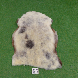 White-grey sheepskin (120 x 70)