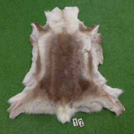 Reindeer skin (135 x 100)