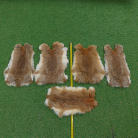 Brown-grey rabbit skin (40-45 cm)