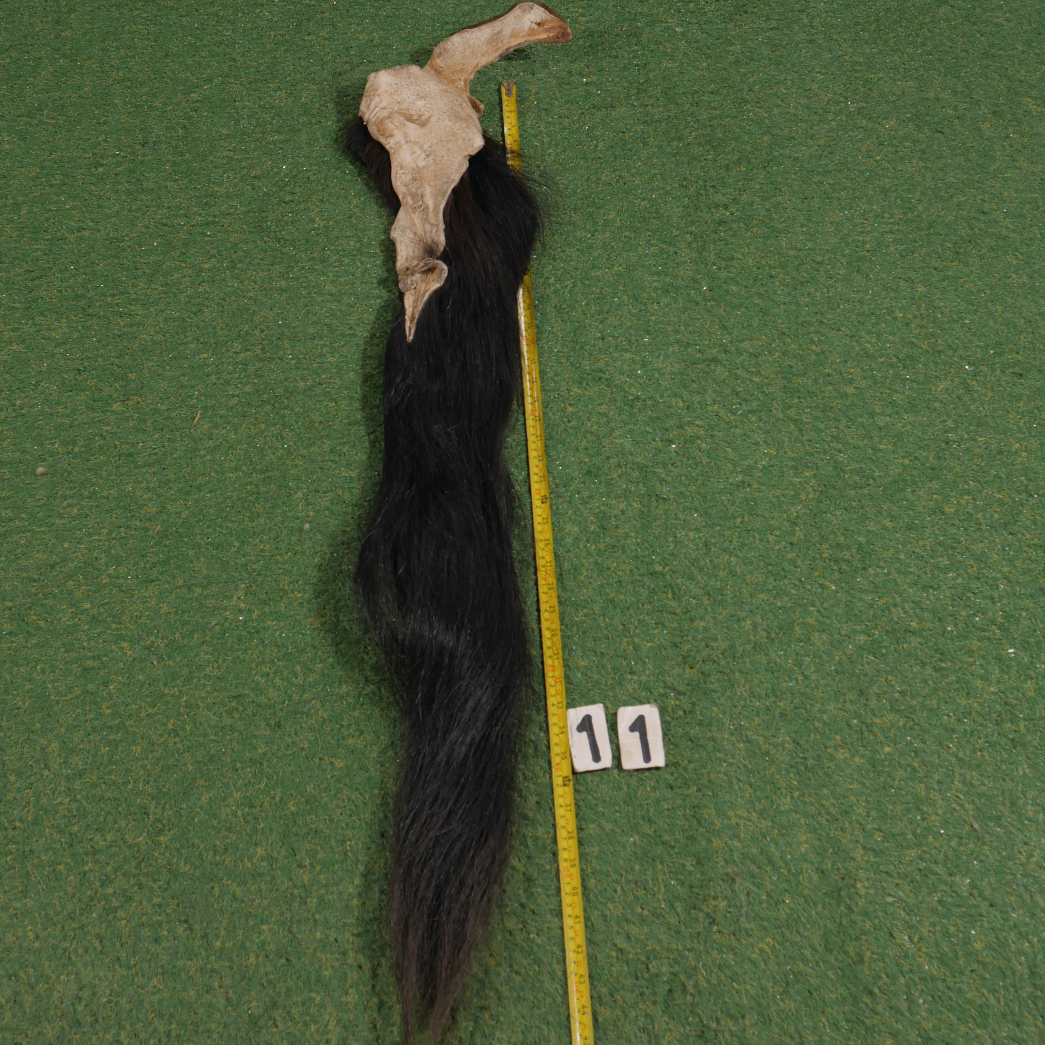 Paardenstaart (110 cm)