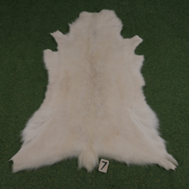 Rendierhuid (125 x 90)