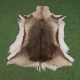 Reindeer skin (125 x 90)