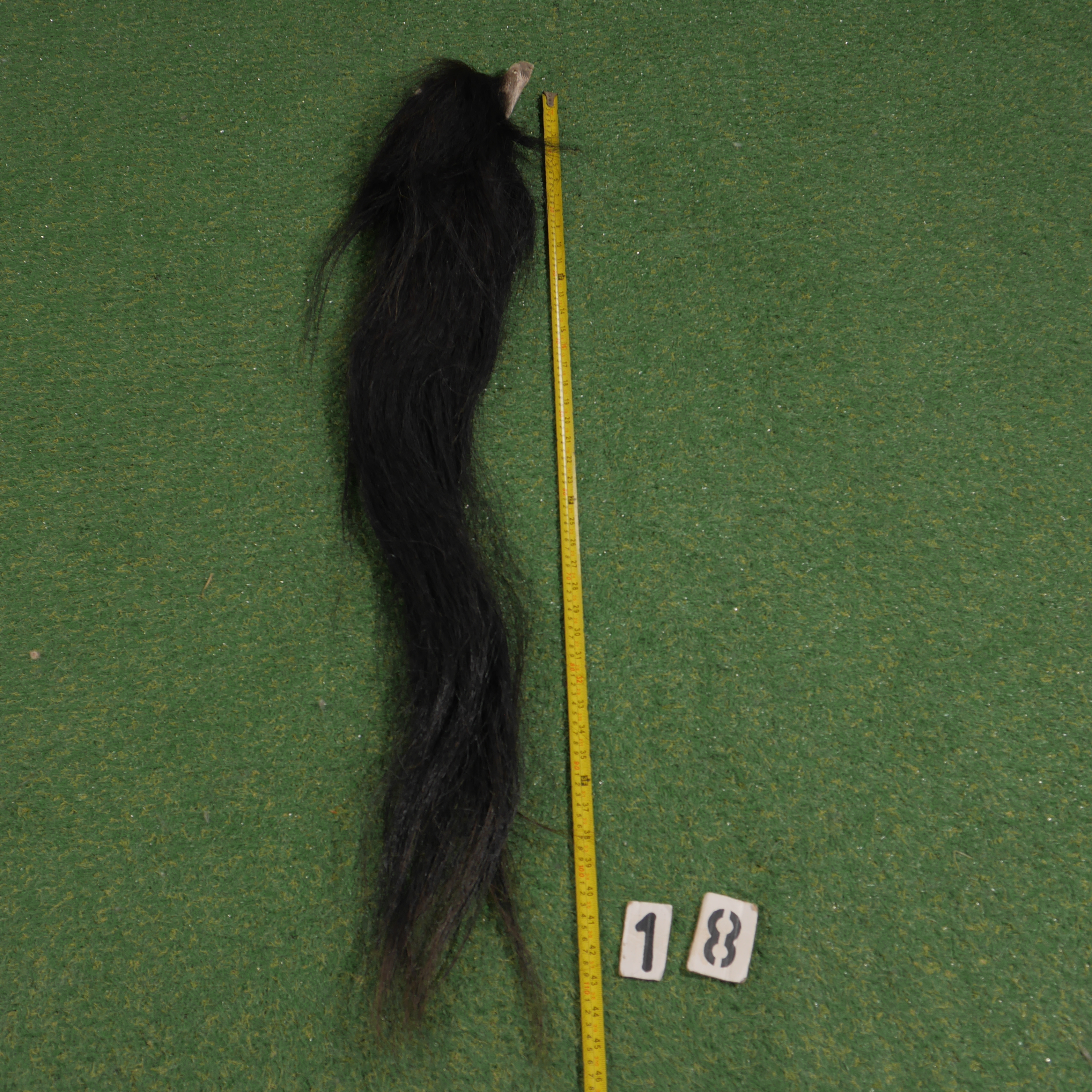 Paardenstaart (110 cm)