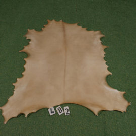 Perkament van rendier ( 0.97  m²)