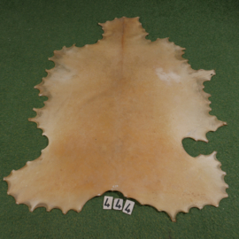 Red deer rawhide (1.54 m²)