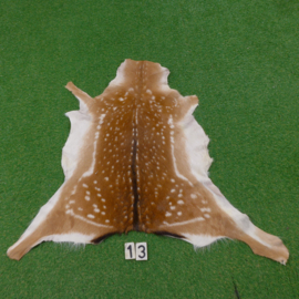 Fallow deer skin (100 x 110) summer coat