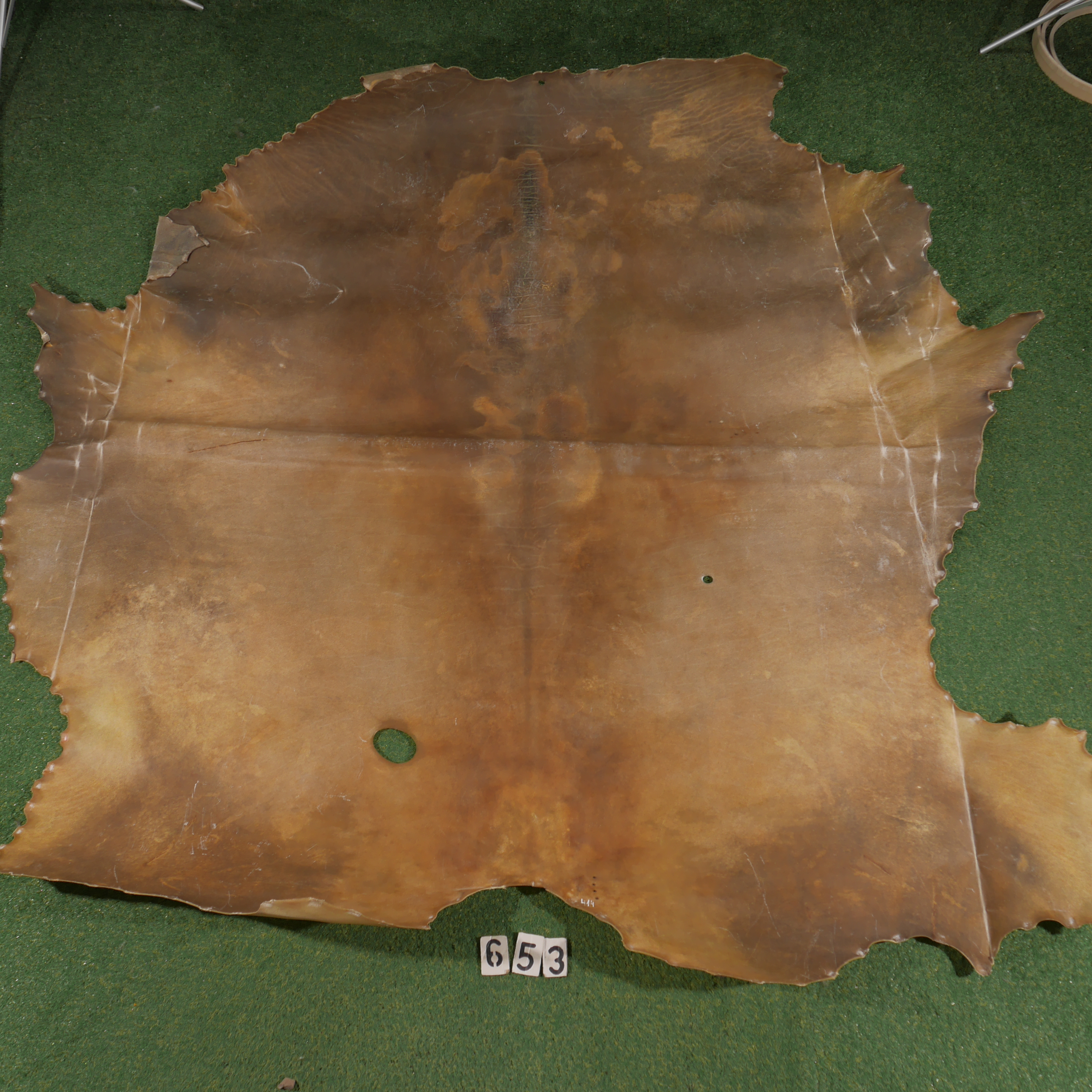 Bison parchment (4.14m²)